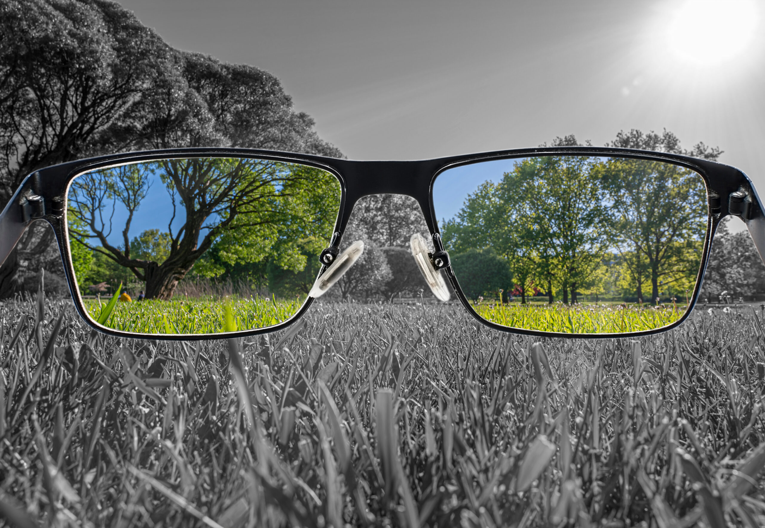 looking at a black and white landscape through a pair of glasses and everything through the lens becomes color