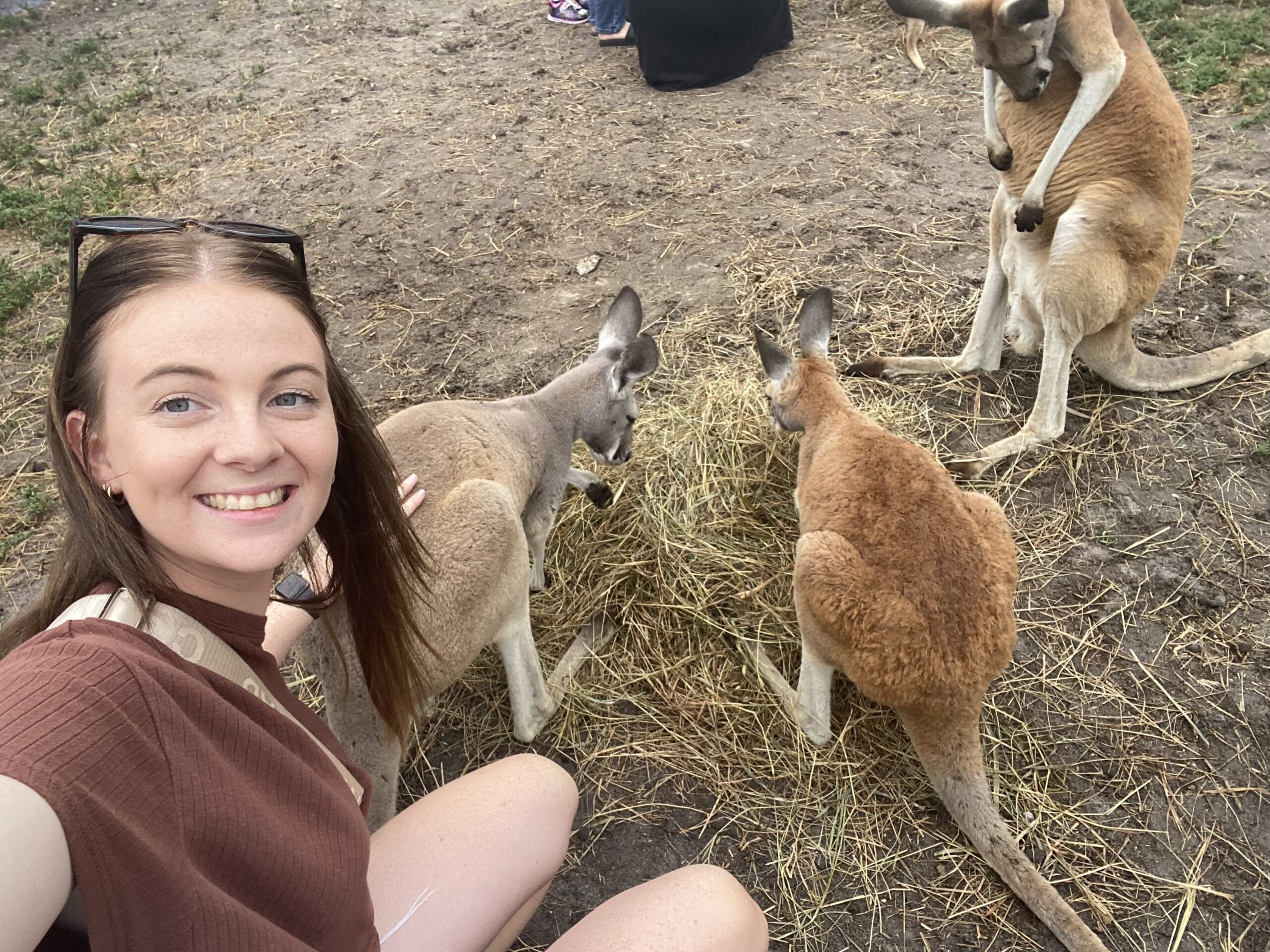 woman swearing sunglasses smiling outside petting baby kangaroos